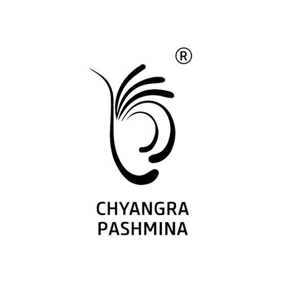 Pashmina Cashmere Shawls